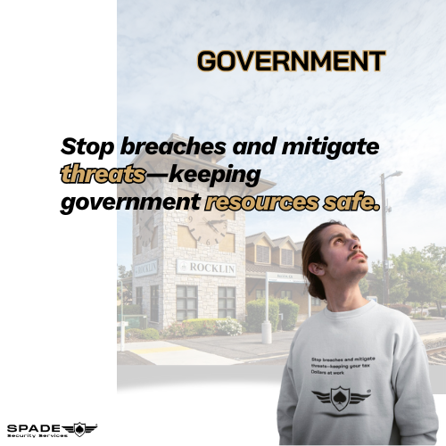 security services for government and local