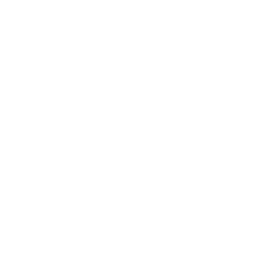 Patrol Security Service
